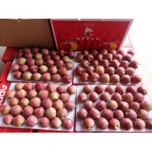 Good Quality Exporting Fresh Red Star Apple